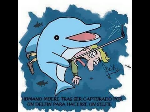 Mundo al revés: interacción entre animales y humanos