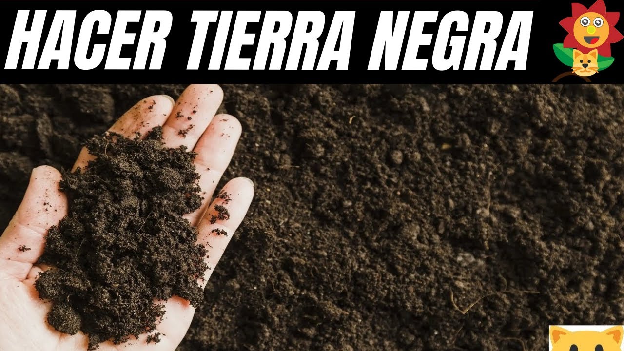 Nutrientes de la tierra negra