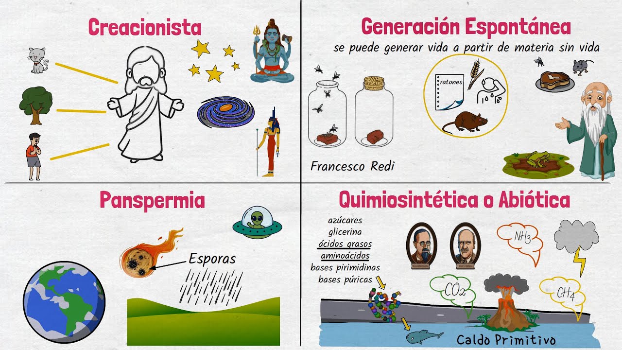 Origen de la vida: una línea del tiempo