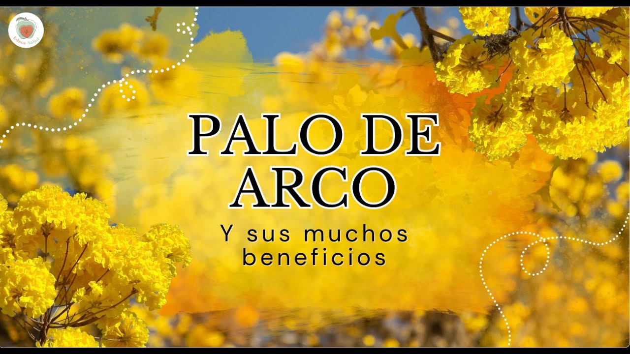Palo de arco: beneficios y precauciones