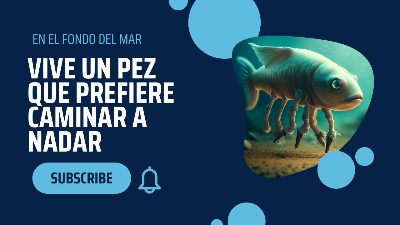 Pez con la mitad del cuerpo: un fenómeno curioso