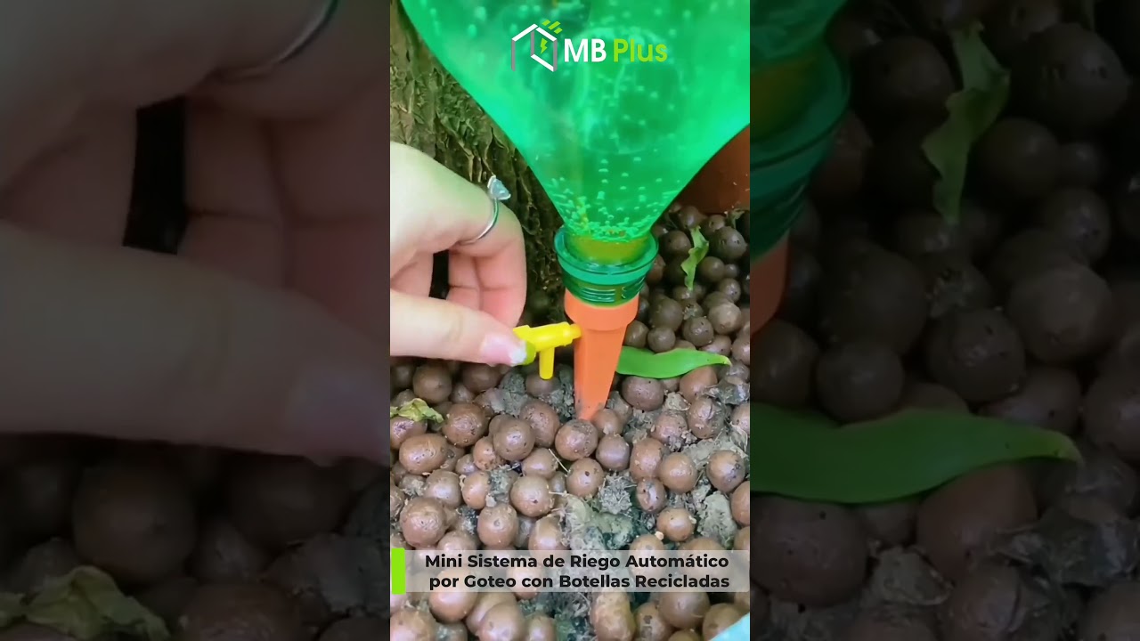 Plantas en botellas de plástico