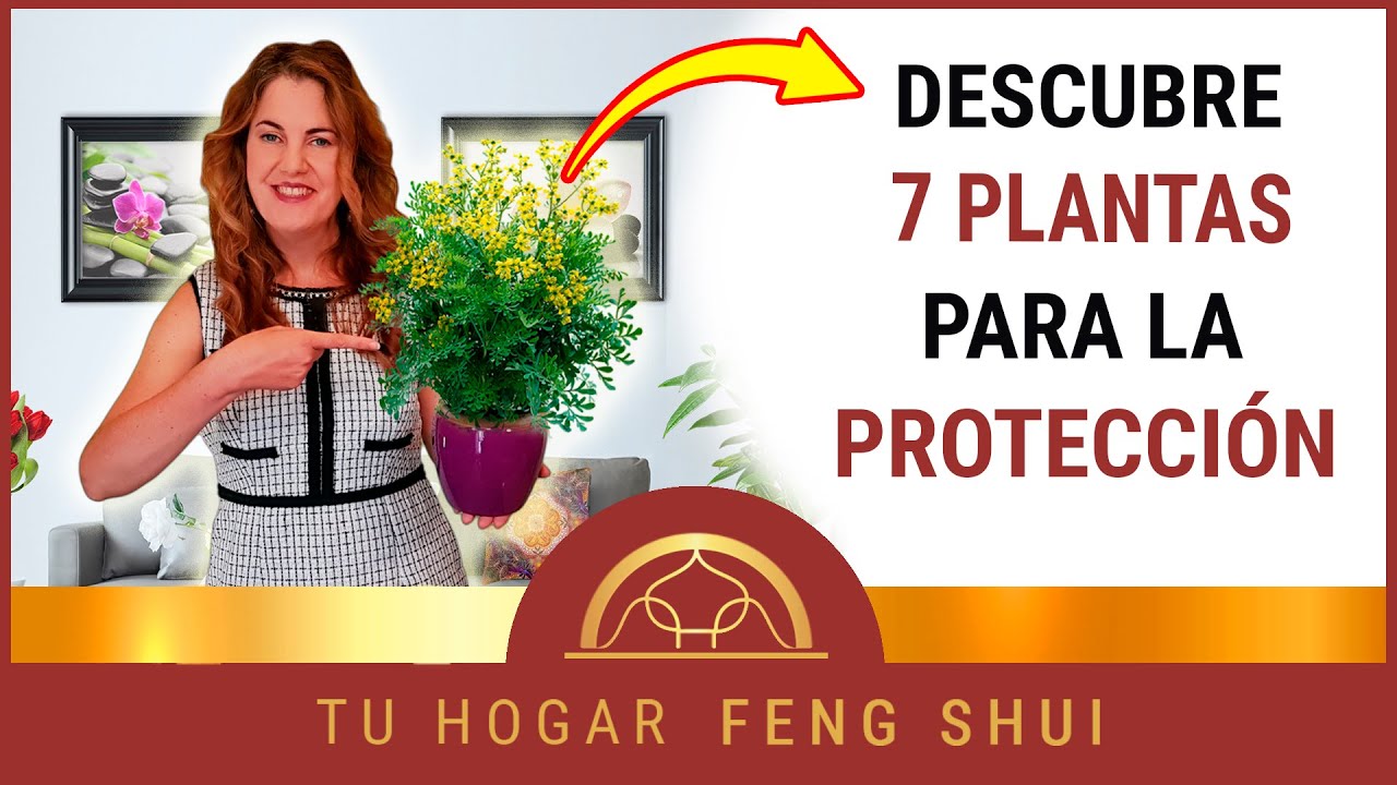 Plantas protectoras para el hogar