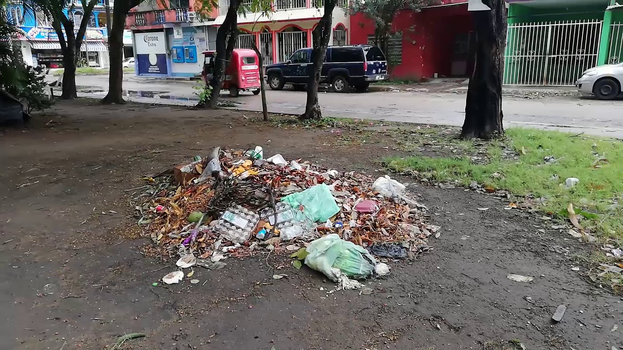 Problema de basura en mi comunidad