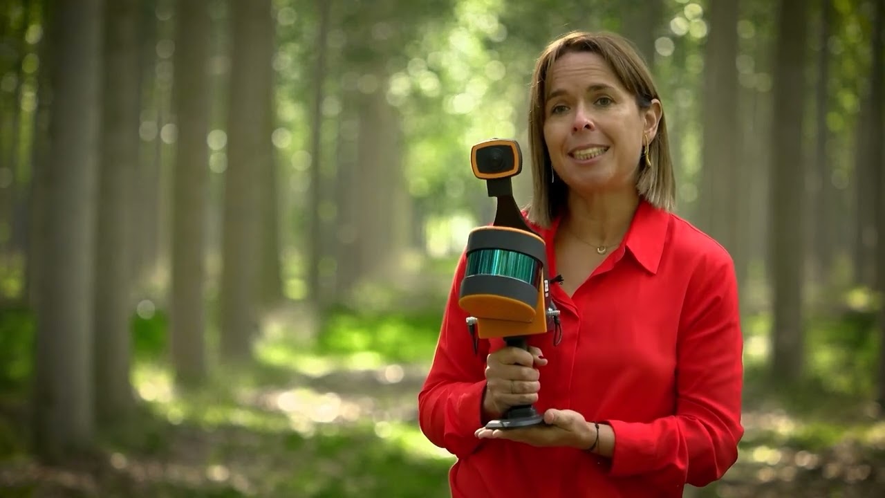 Proceso de obtener madera de forma sostenible