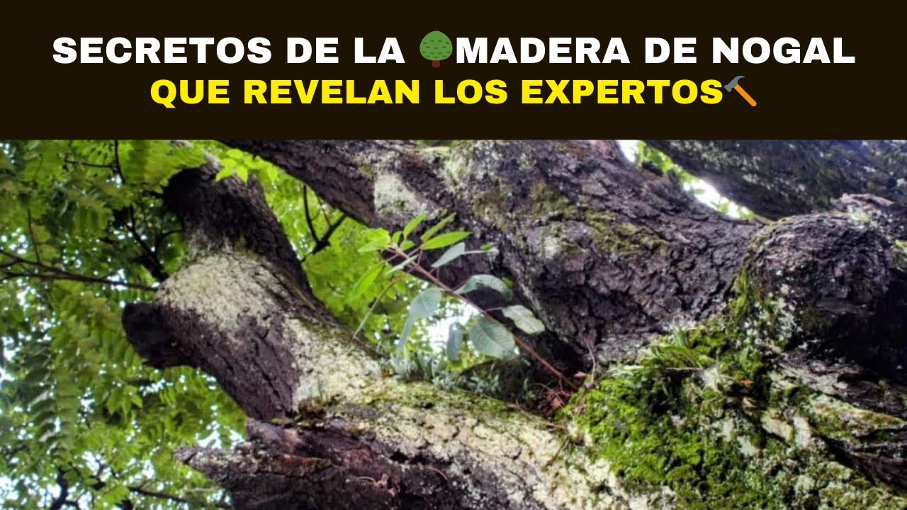 Propiedades de la madera de nogal