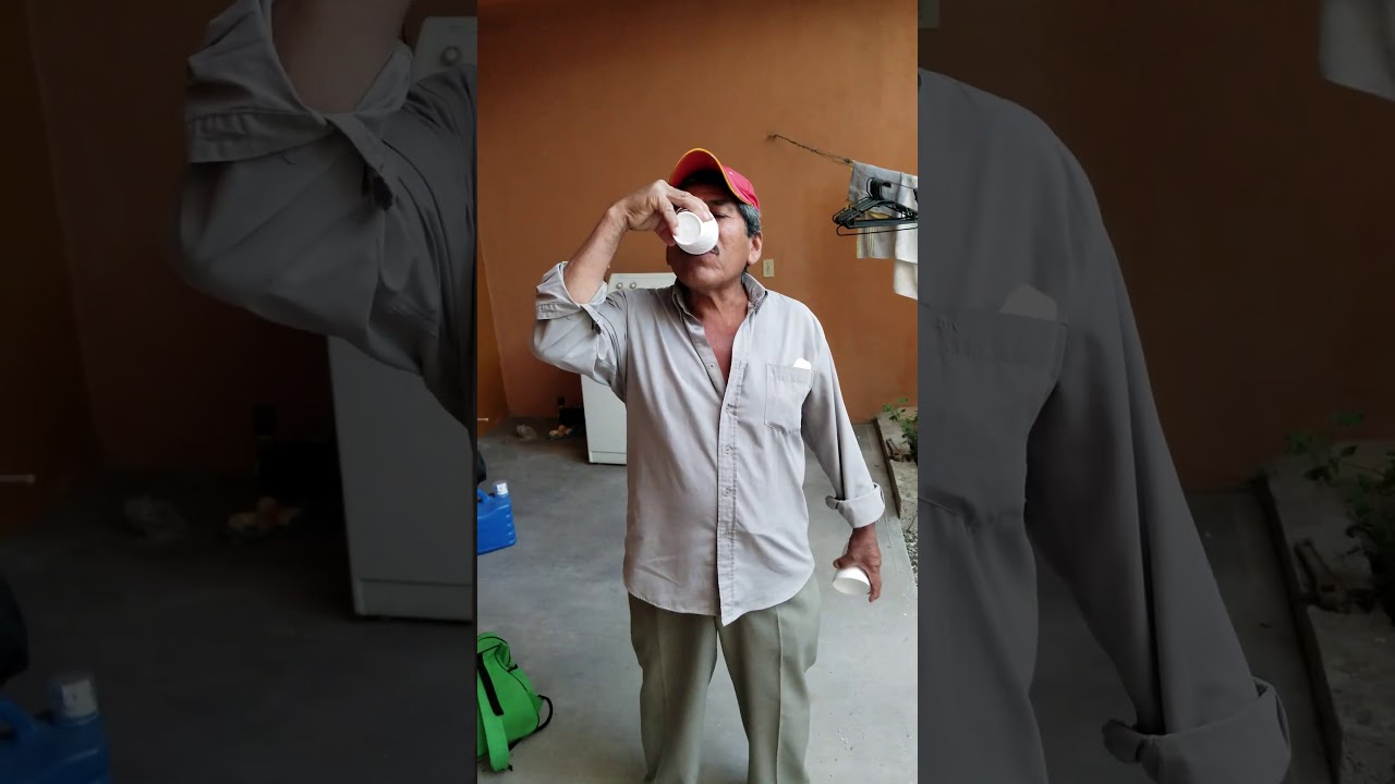 Propiedades y beneficios de la sangre de iguana