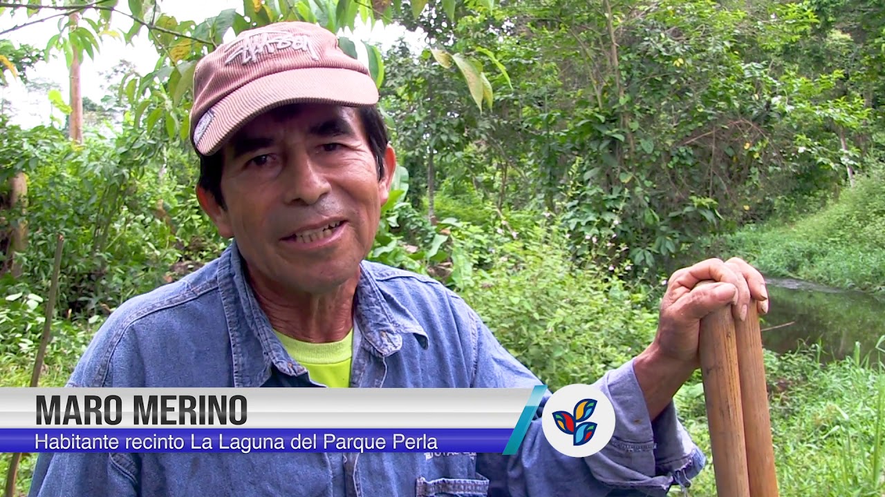 Proyectos de reforestación en cuencas hidrográficas