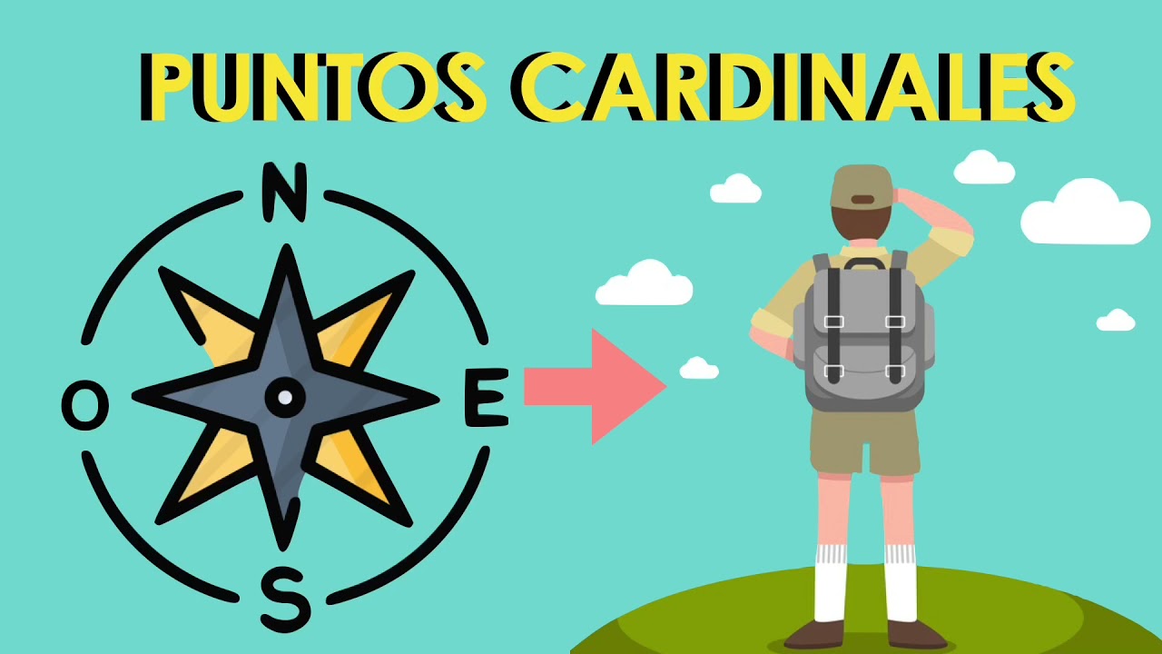Puntos cardinales para niños: diversión y aprendizaje garantizados
