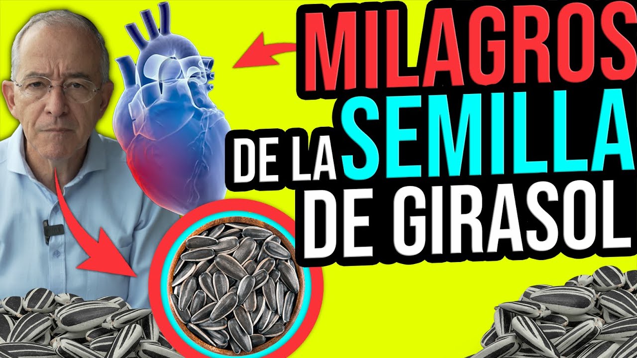 Semillas de girasol: propiedades y advertencias