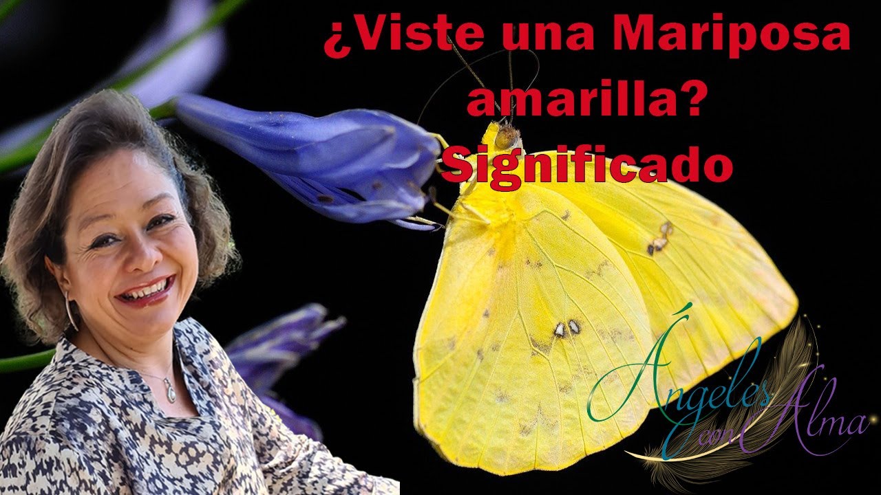 Significado de ver una mariposa amarilla
