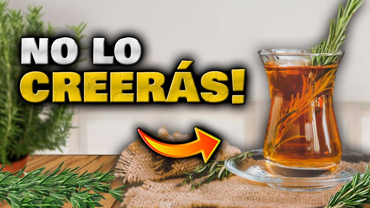 Té de romero: un aliado para quedar embarazada