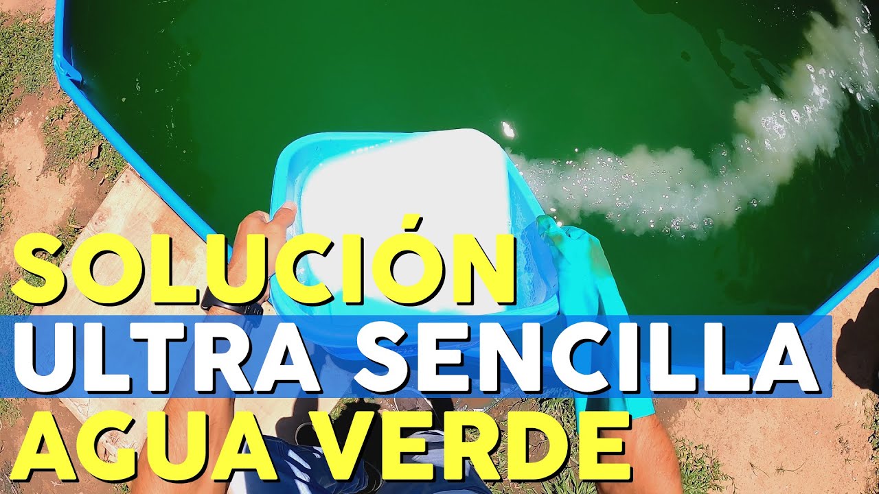 Trucos para evitar que el agua almacenada se ponga verdosa