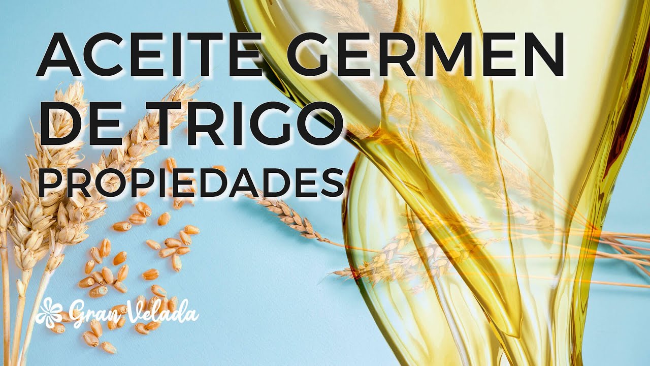 Aceite de germen de trigo: usos y beneficios