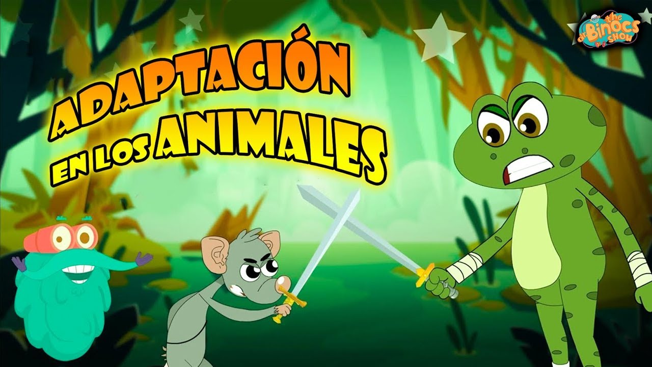 Adaptación del gato al medio ambiente