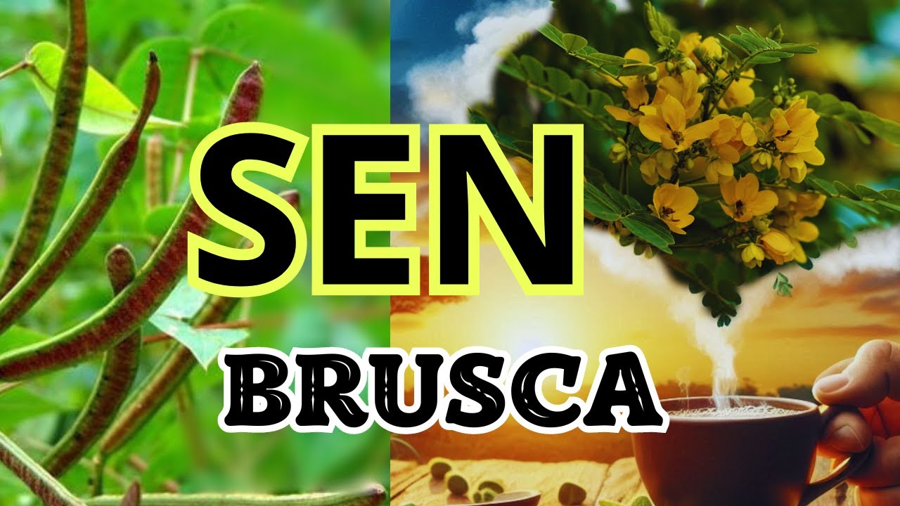 Beneficios de la semilla de brusca para la salud ósea