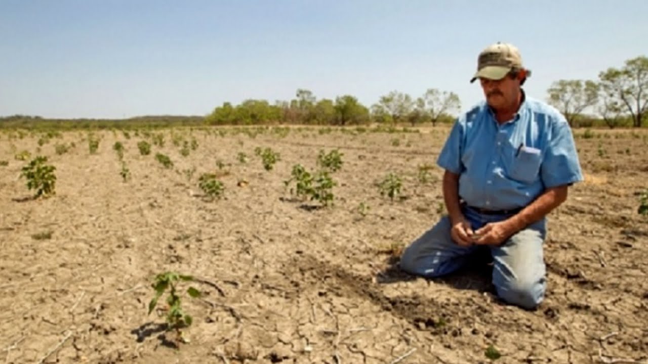 Claves de las reacciones del calentamiento global
