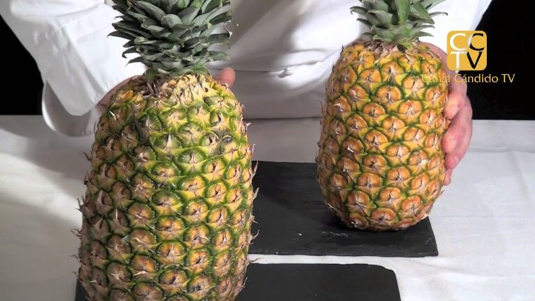 Cómo elegir una piña madura - promagal.es - Blog Informativo