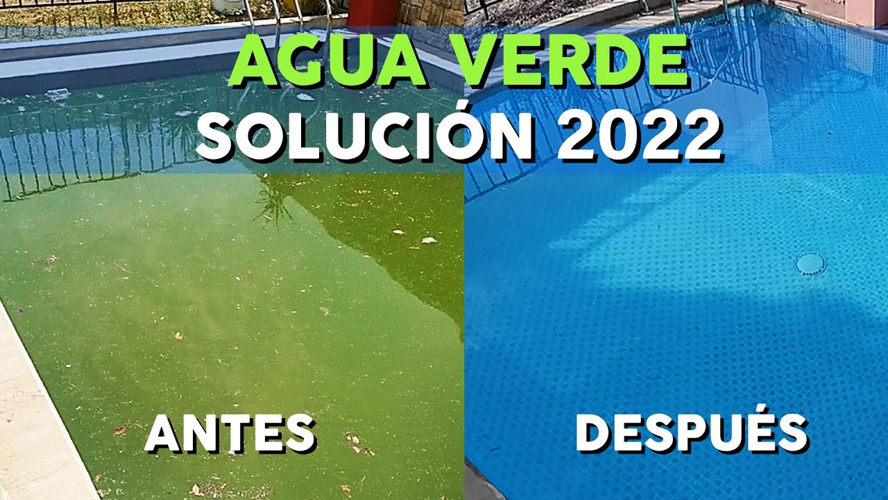 Cómo limpiar una piscina con agua verde
