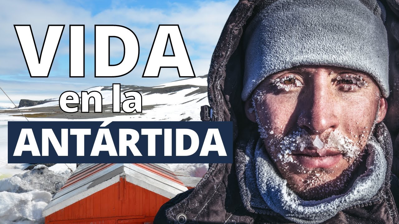 Condiciones extremas de vida en zonas polares