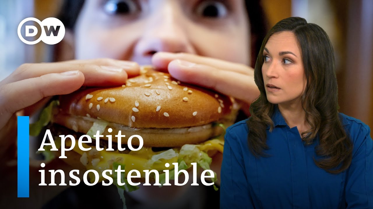 Consumo de carne de elefante y su impacto