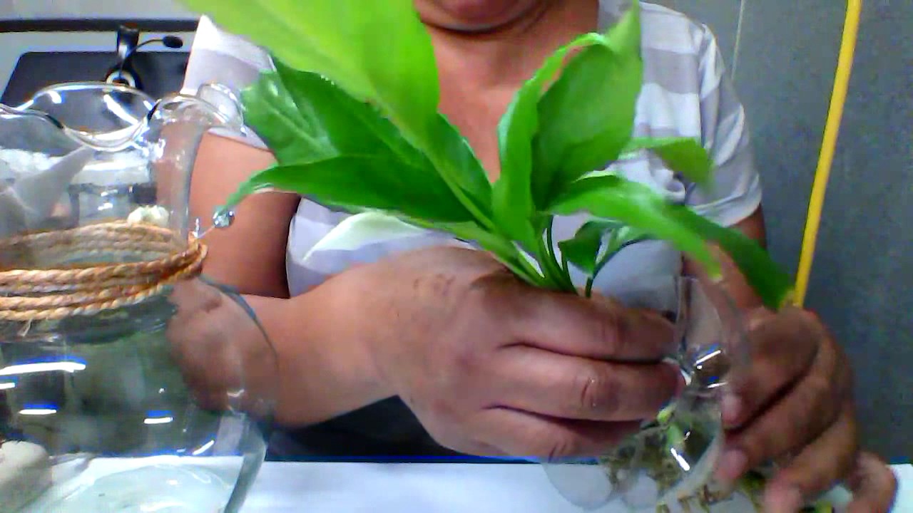 Crear centros de mesa con cuna de Moisés