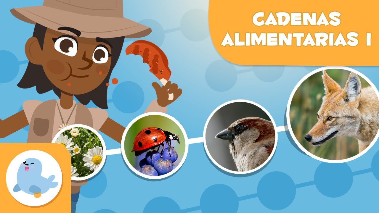 Cuento educativo: la cadena alimenticia para niños