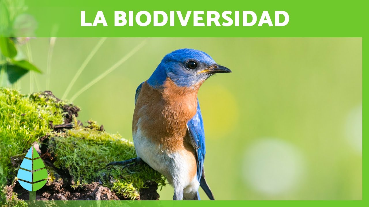 Delitos ambientales y biodiversidad