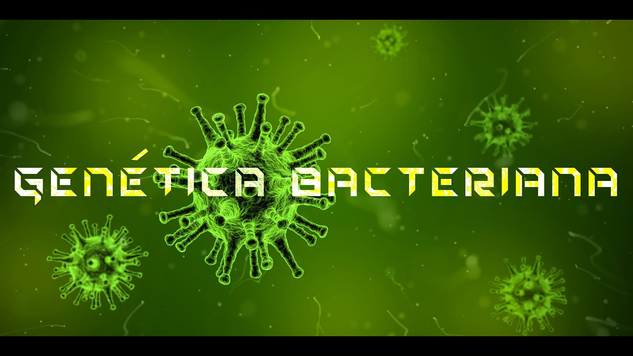 Descubre la clave de la genética bacteriana