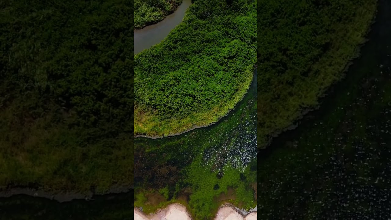 Descubre las características de la costa mexicana