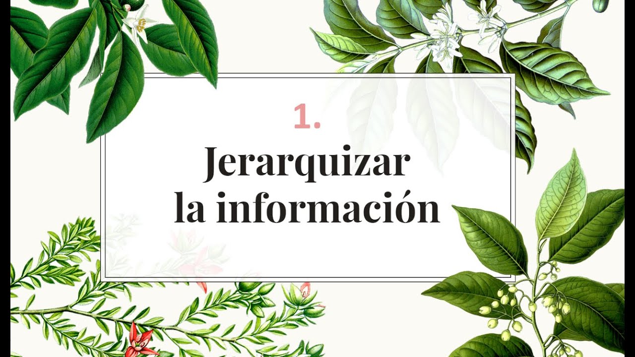 Descubre qué es la jerarquización de la información