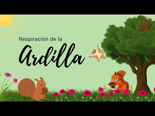 El método de respiración de la ardilla revelado