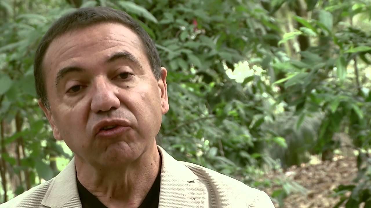 Especies de plantas y líquenes en Colombia: un catálogo completo