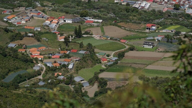 Etapas de la Agricultura en Venezuela: Un Recorrido Histórico