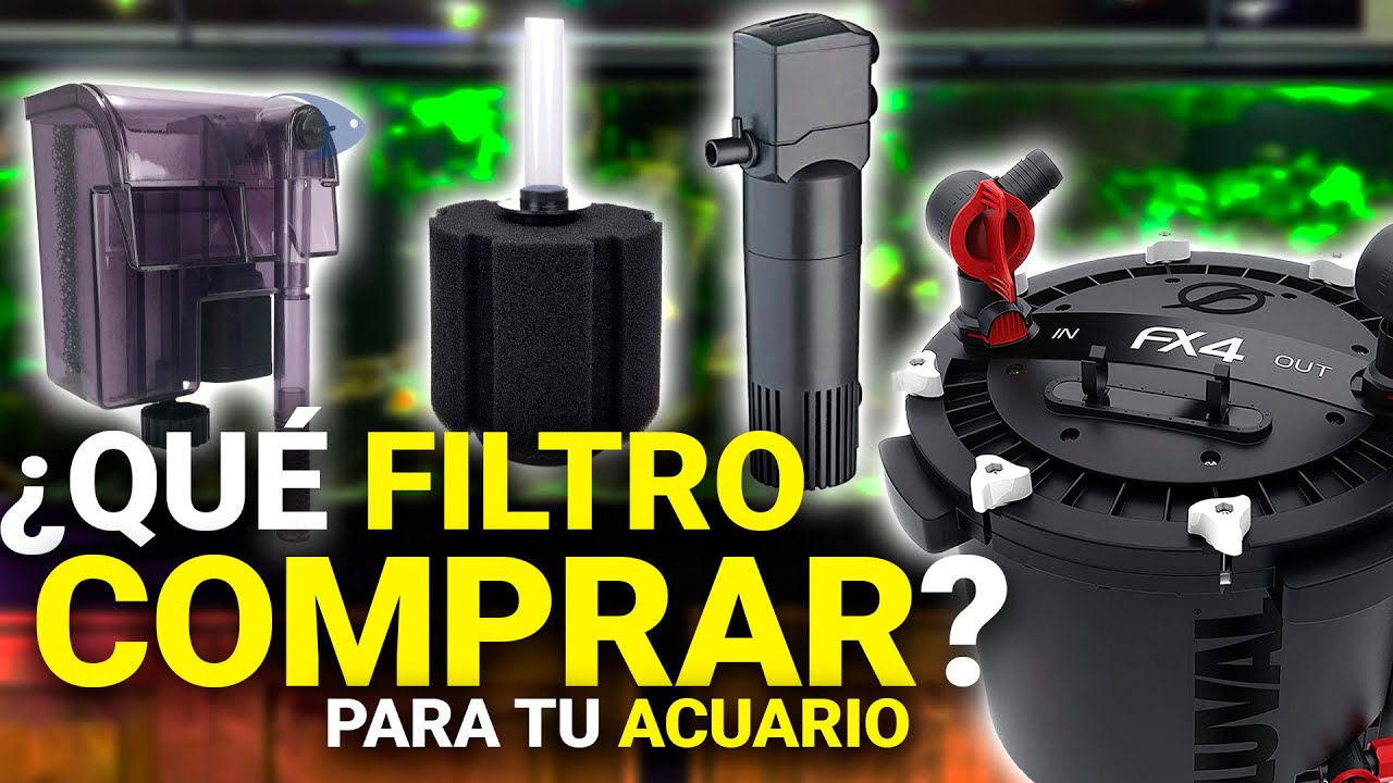 Filtro para pecera de 20 litros