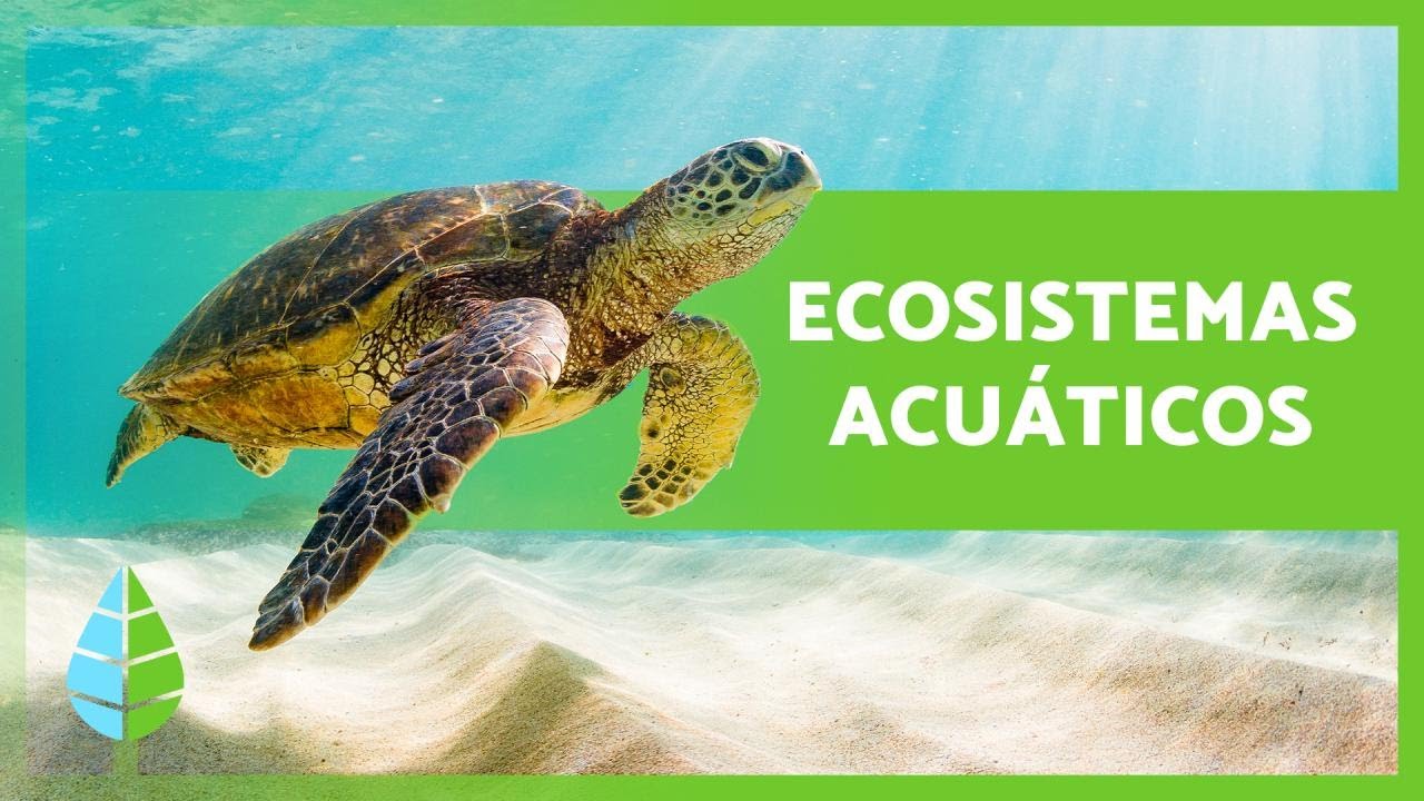 Flora y fauna en aguas dulces