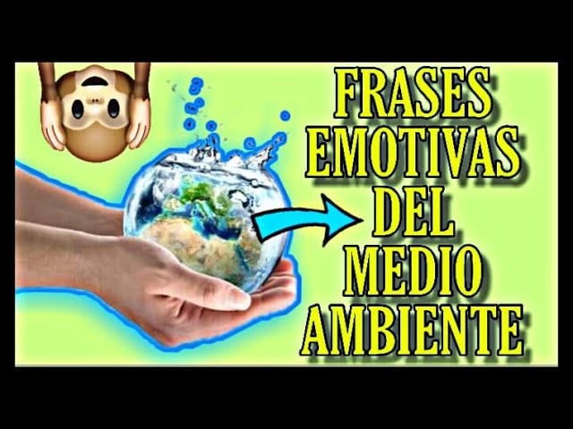 Frases inspiradoras para reducir el uso de bolsas plásticas