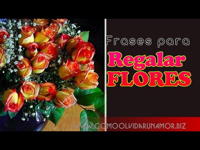 Frases para un ramo de rosas