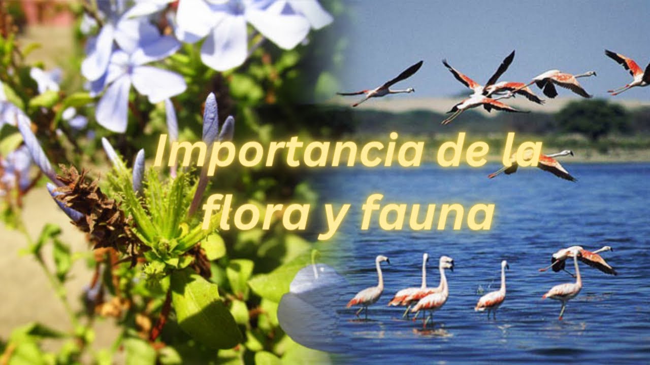 Importancia de la flora en nuestro entorno