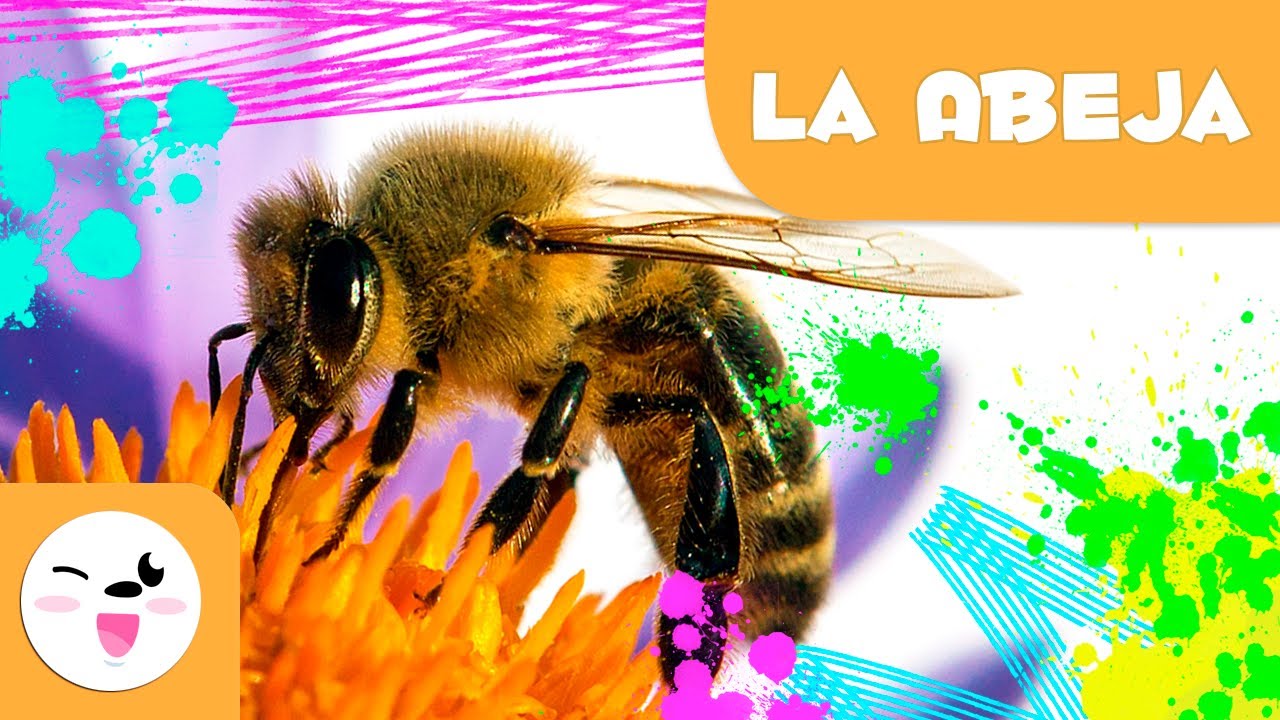 Información sobre las abejas para niños