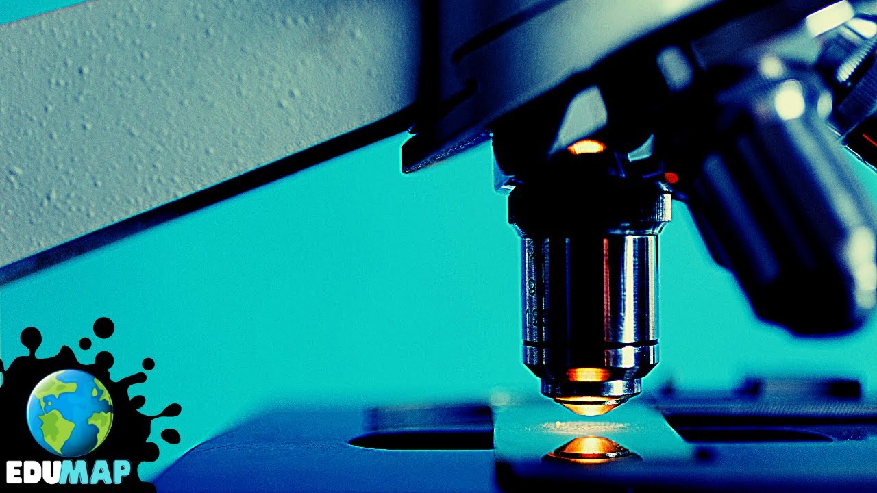 La importancia de la biología en la tecnología