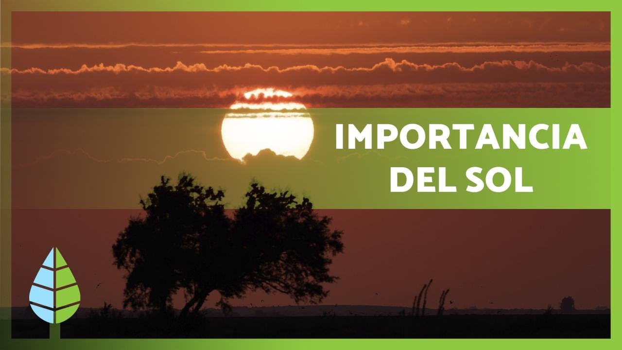 La importancia de la luz en nuestra vida