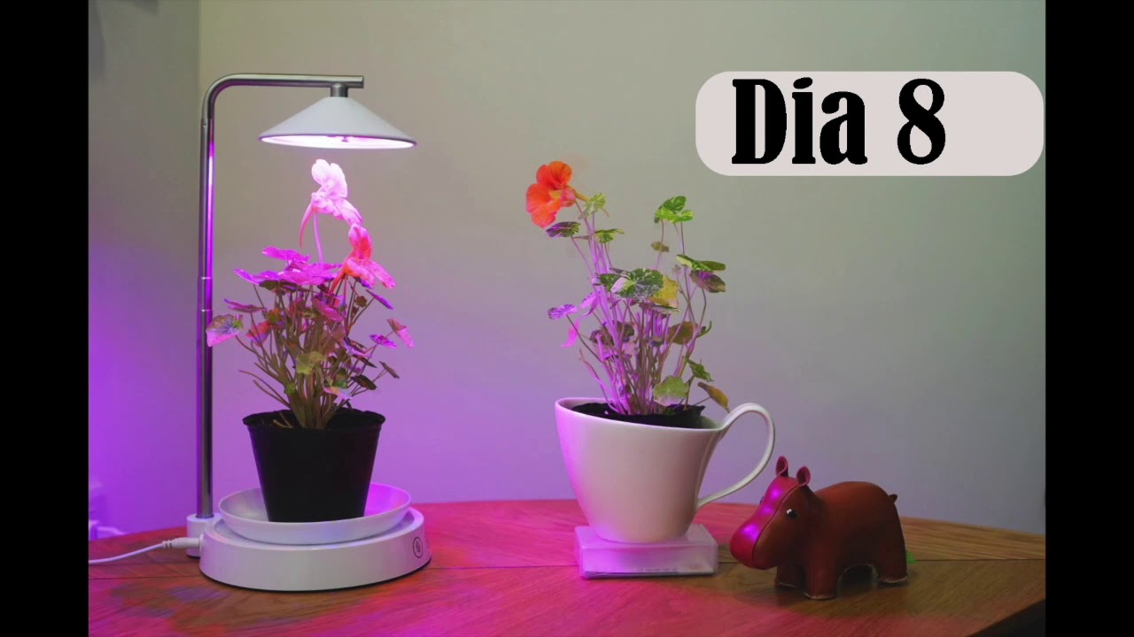 Lámparas LED para crecimiento y floración