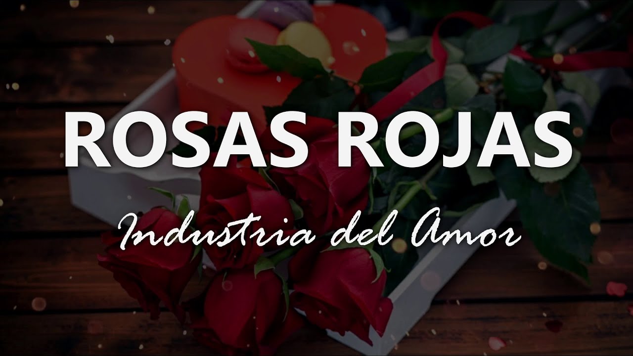 Letra y significado de la industria del amor: rosas rojas
