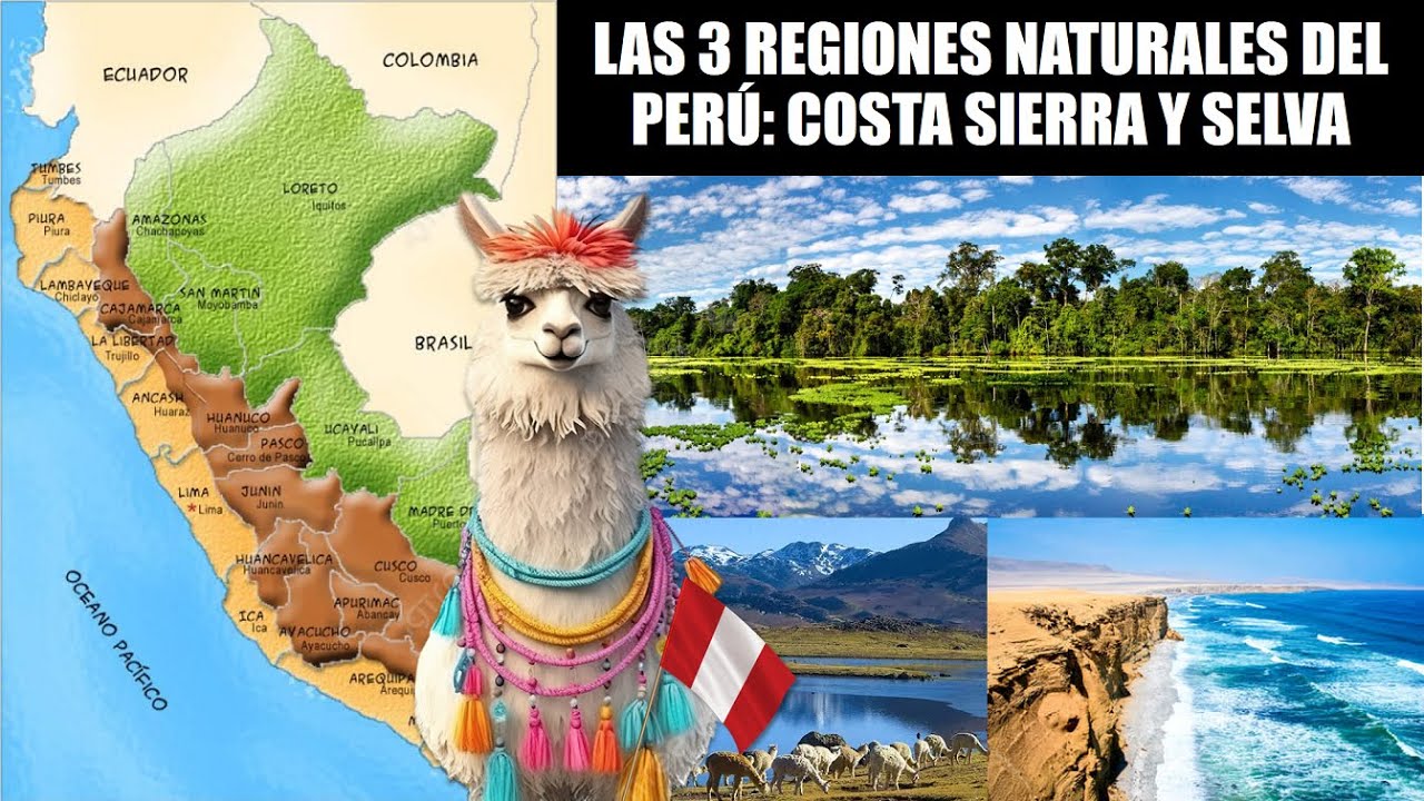 Los ecosistemas costeros de sierra y selva en Perú
