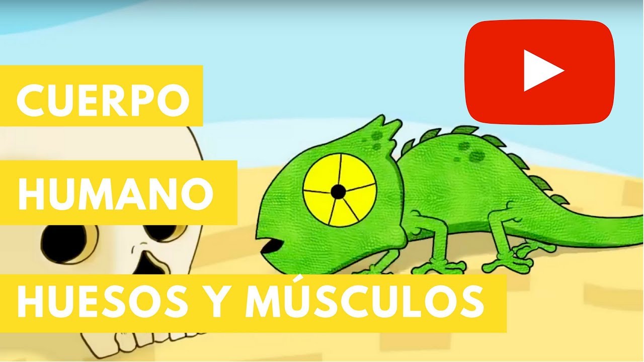 Manual de recortes del cuerpo para niños