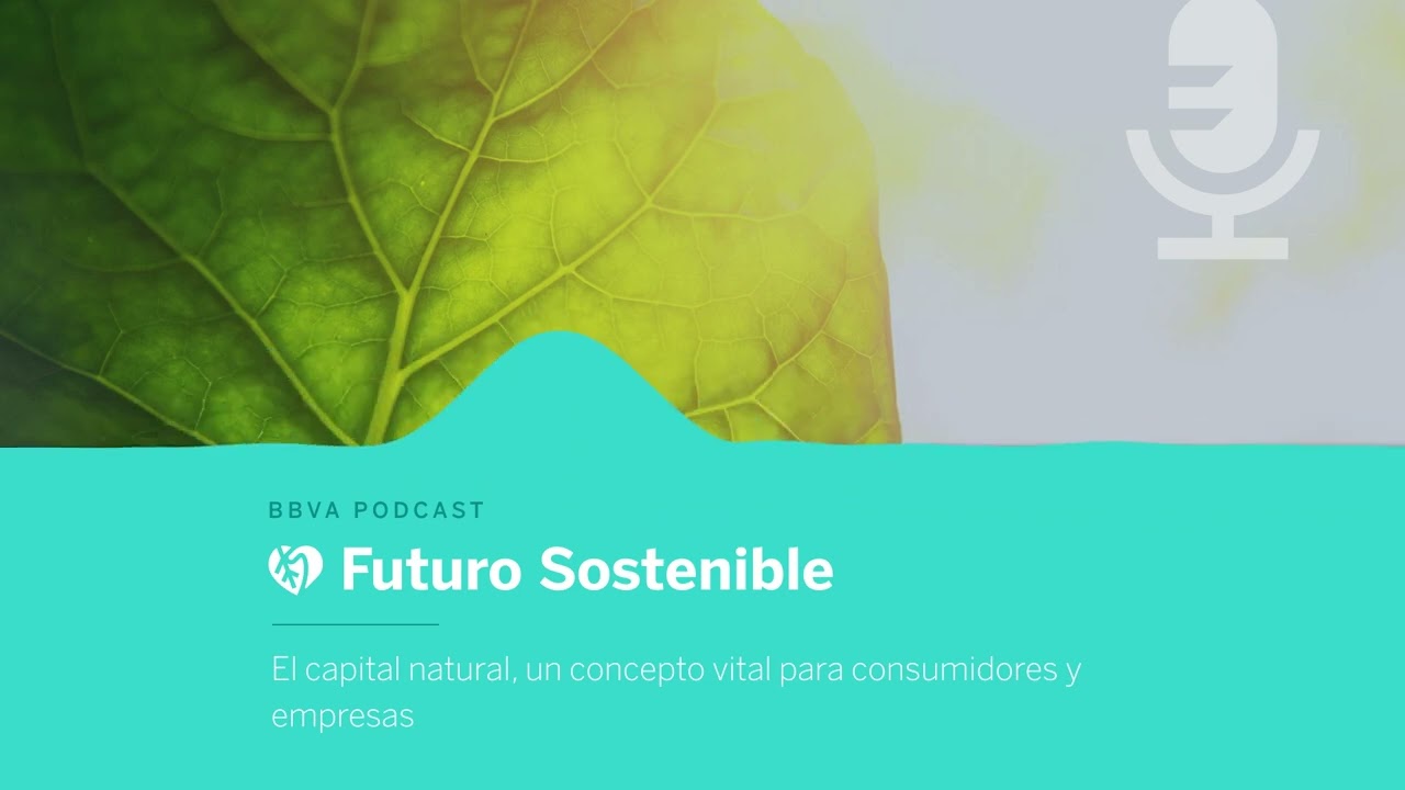 Medio ambiente y empresas: una relación vital