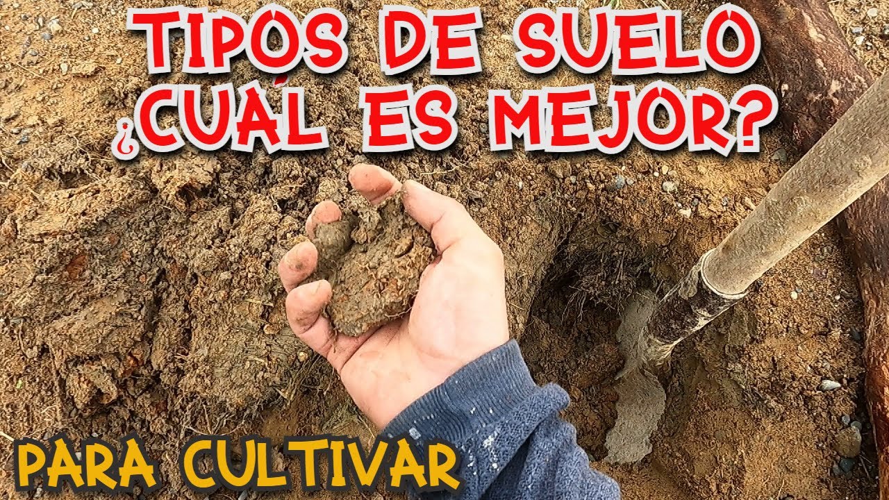 Mejores tipos de suelo para la agricultura