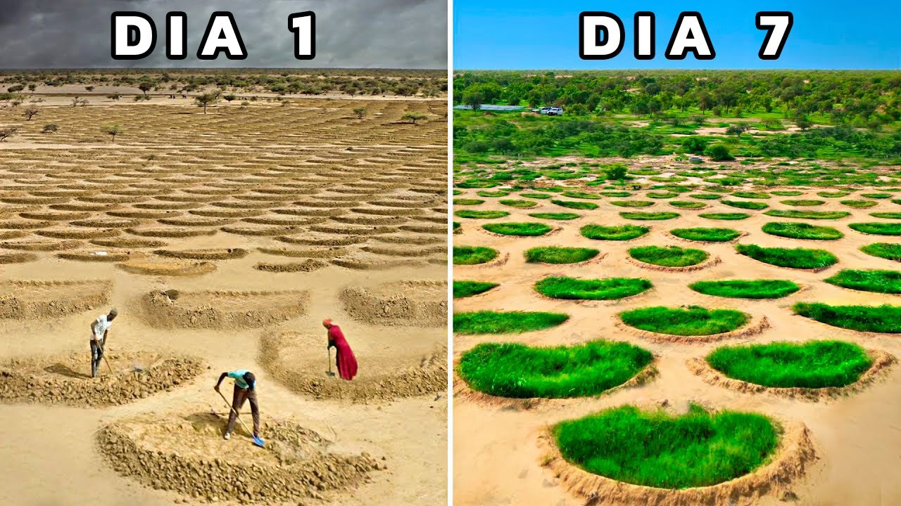 Niveles de aridez en el desierto del Sáhara