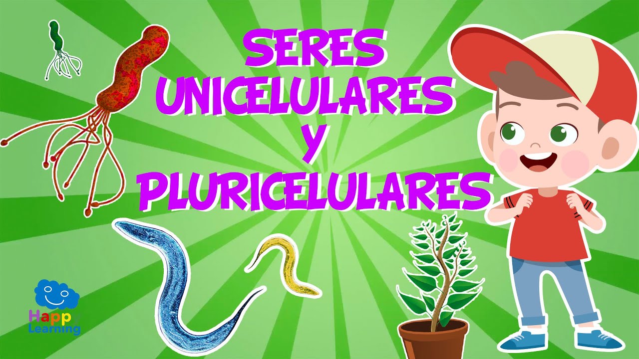 Organismos unicelulares vs pluricelulares